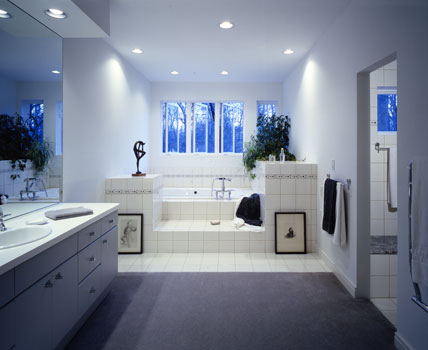 Ravine Forest master bath